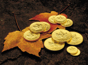 gold coins