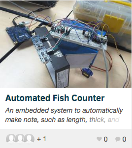 Automated Fish Counter
