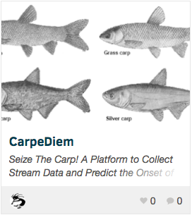 Carpe Diem